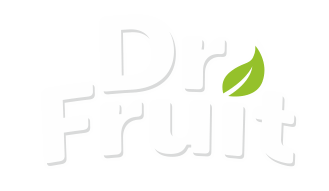 hurtownia-logo drfruit